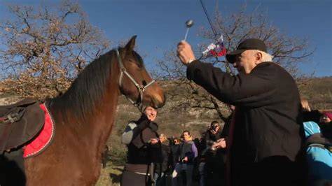 trener konj in konj na pašniku