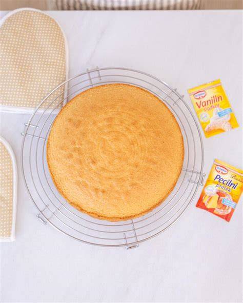 klasičen tortni biskvit na mrežici