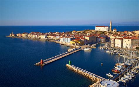 Slovenska Istra vinogradi oljčniki obala
