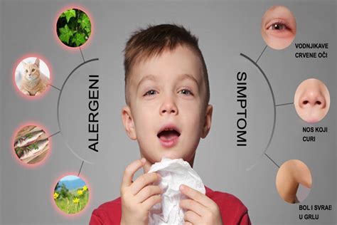 Alergijski rinitis simptomi in antihistaminiki