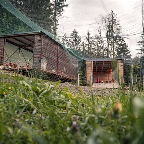 Pohorje in ekološka kmetija Kurnik