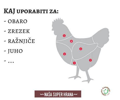 različni kosi piščančjega mesa
