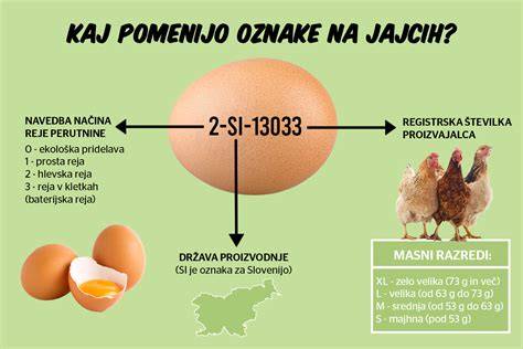 Oznake načinov reje na jajcih
